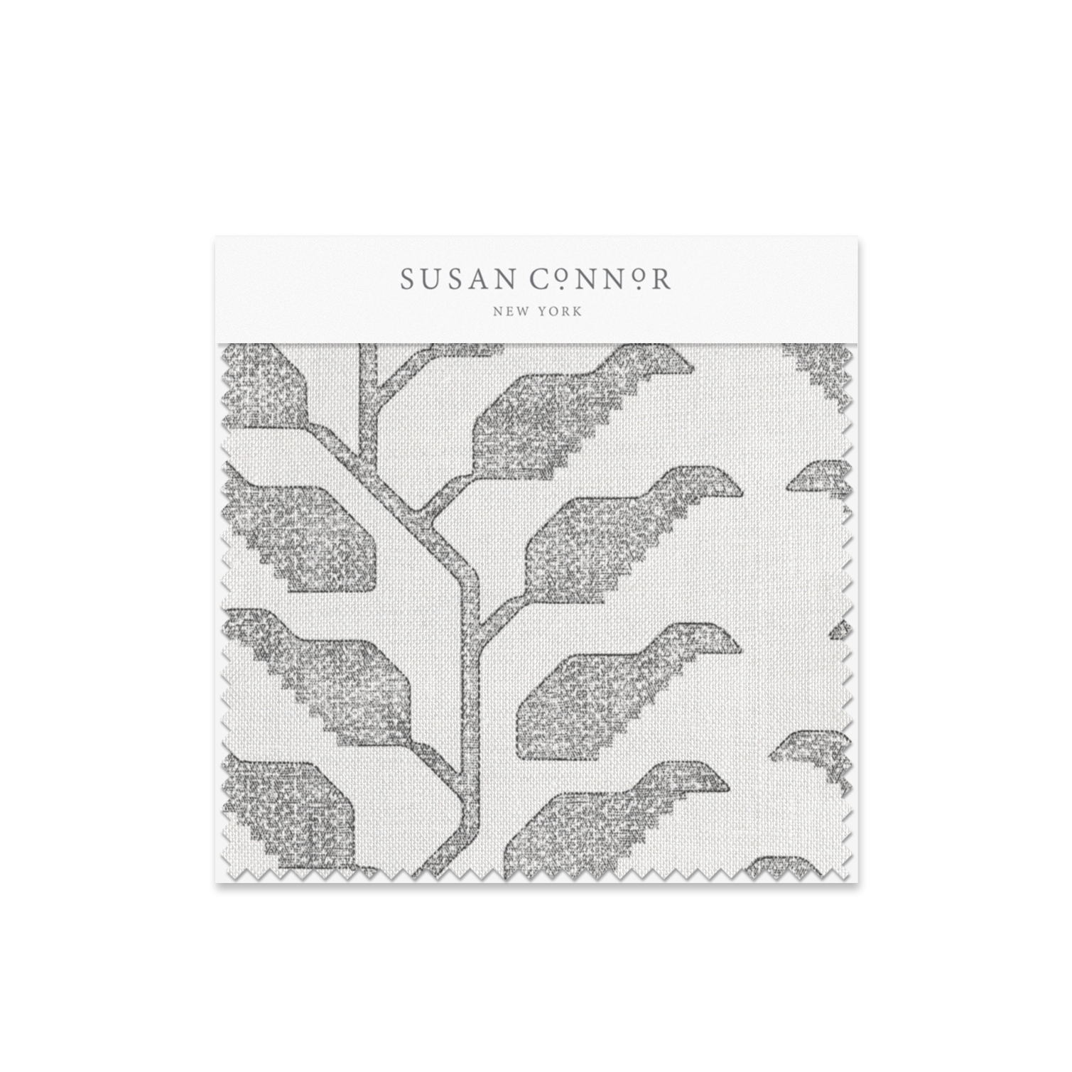 Folio Sample | Graphite Oyster