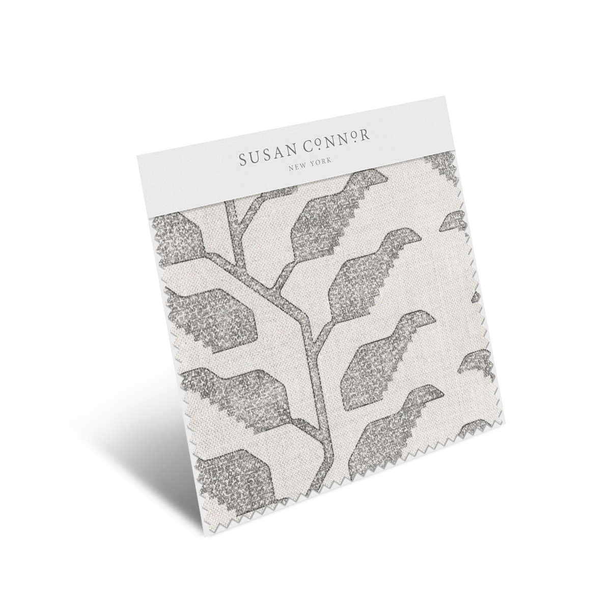 Folio Sample | Graphite Natural